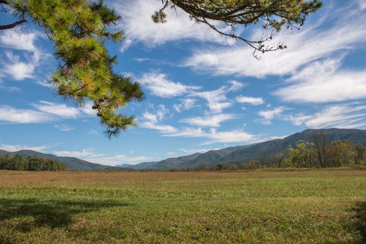 Sweet Serenity Pigeon Forge Eksteriør billede